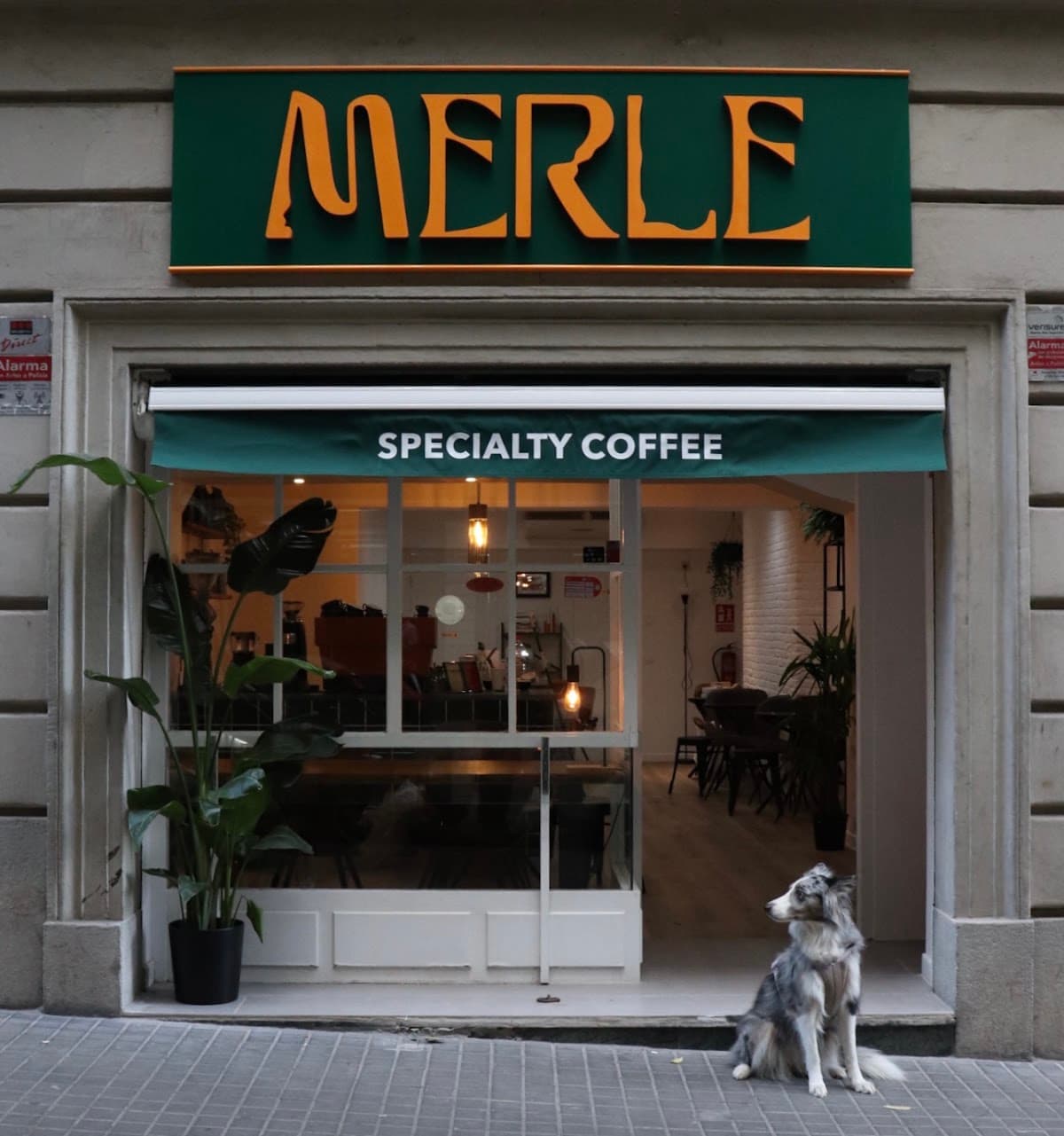 Merle Coffee