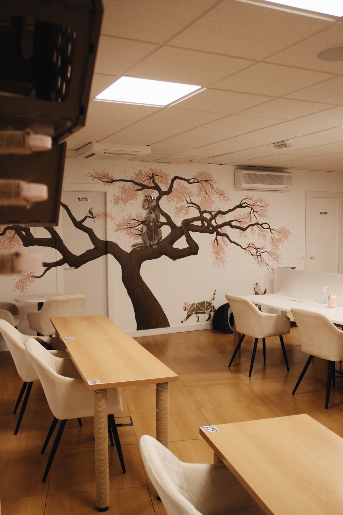 Paws For A Moment (Cat Café Co-Working)
