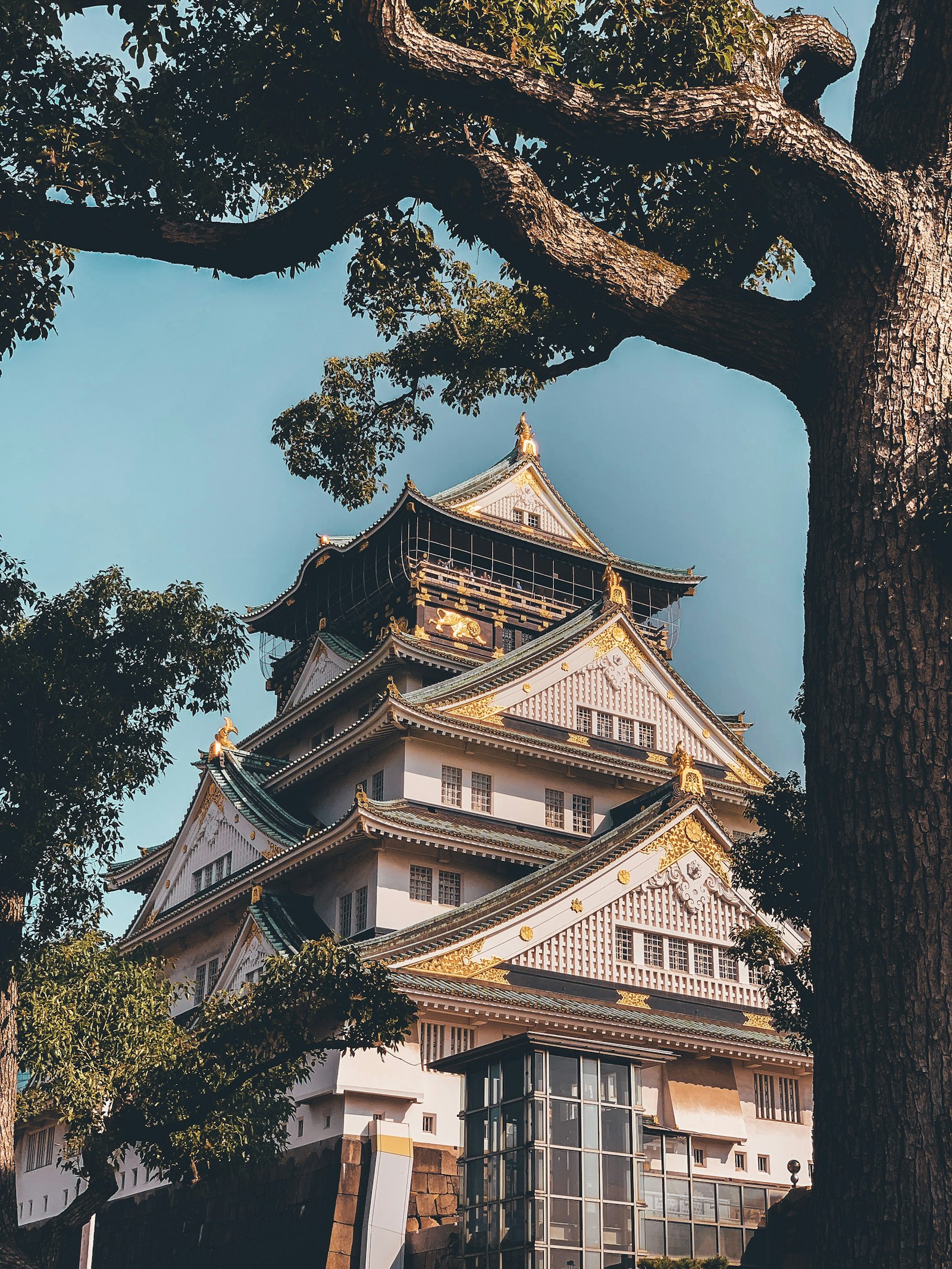 Osaka — nomad city